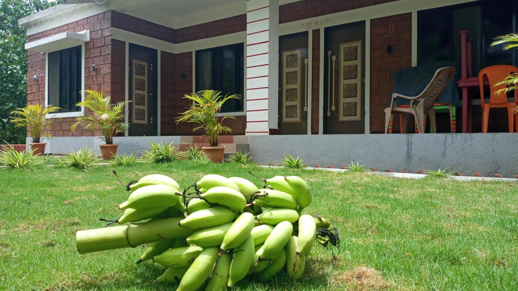 Coconut Village Resort Alibag Exterior photo