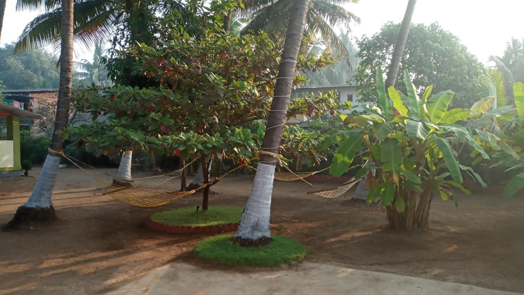 Coconut Village Resort Alibag Exterior photo