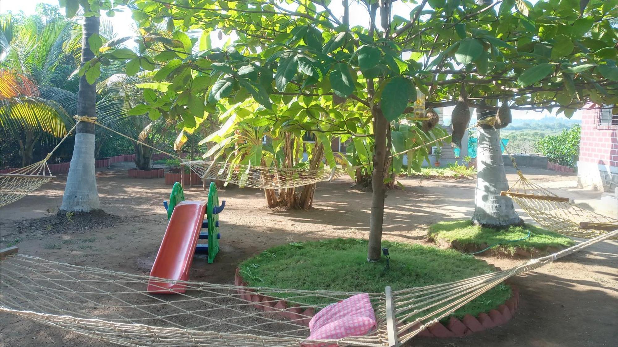 Coconut Village Resort Alibag Exterior photo